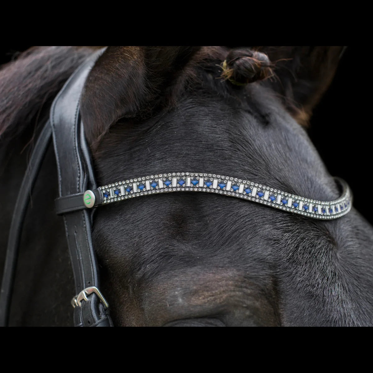 Close-up of the black EcoRider Freedom Sapphire Browband on a dark horse, featuring the closed e-clasp quick-release snap popper.