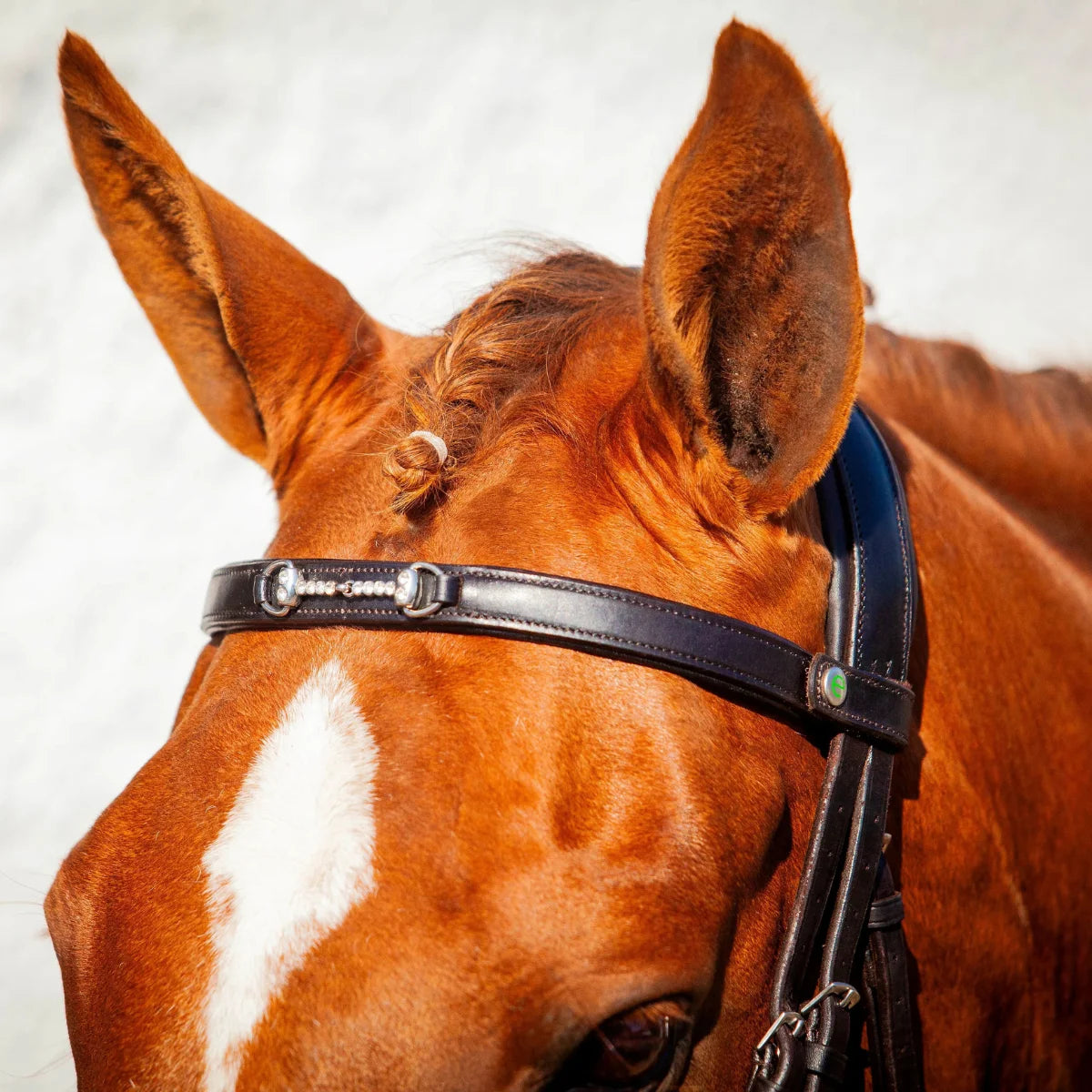 Close-up of a chestnut horse wearing an EcoRider black leather bridle with a silver crystal snaffle bit browband.