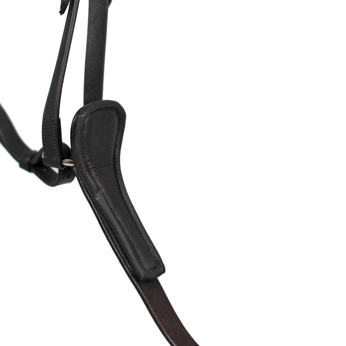 Close-up of the padded leather chest plate on the Black EcoRider Ultra Comfort Martingale.