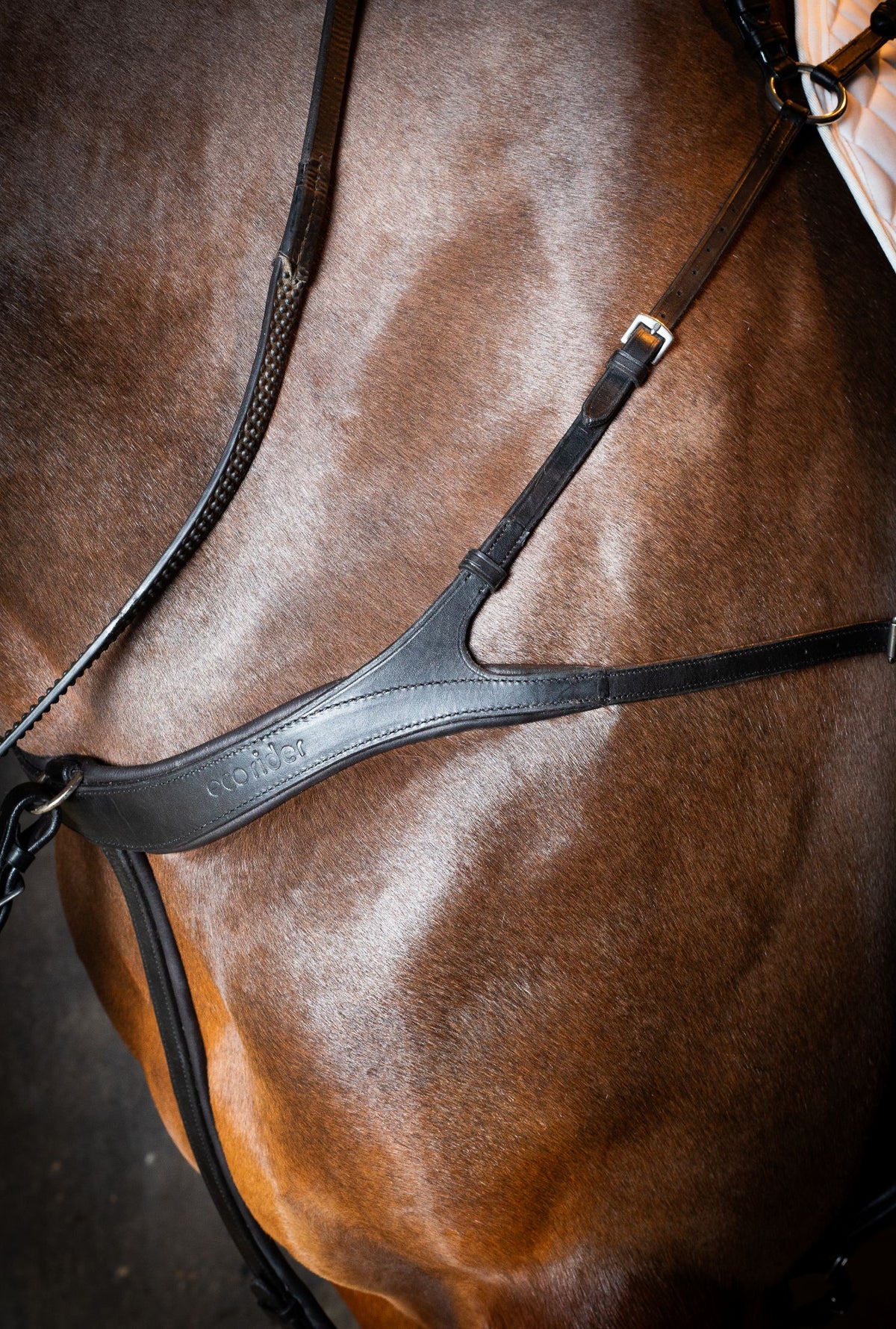 Martingales & Breastplates