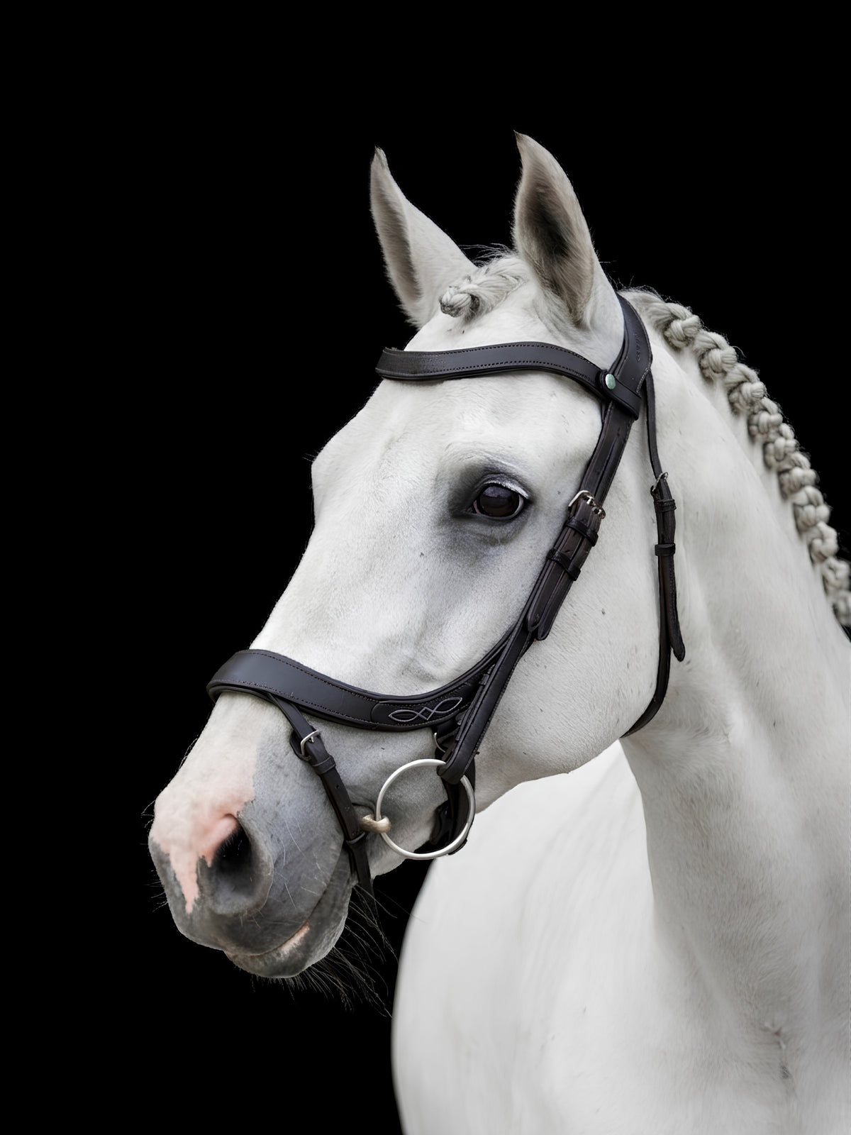 EcoRider Freedom Comfort Bridle (ECO006) product photo in premium vegetable-tanned leather, featuring an anatomically shaped comfort noseband, ear-relief headpiece, and a dipped browband with the signature 'e-clasp'.