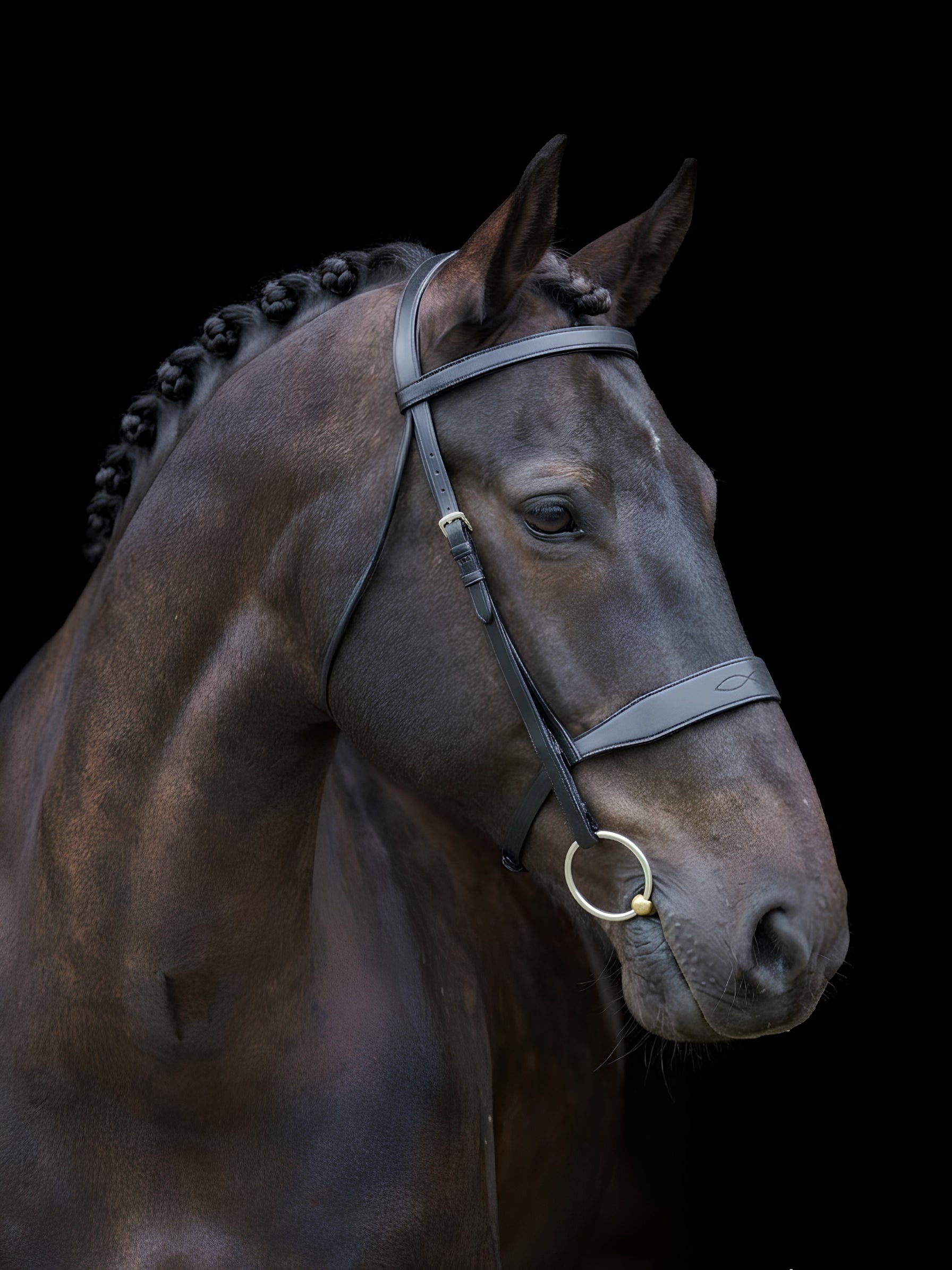 EcoRider Classic Show Bridle (ECO016) product image in premium vegetable-tanned eco-leather, featuring traditional styling with a broad cavesson noseband, matching plain browband, and adjustable cheekpieces for the show ring.