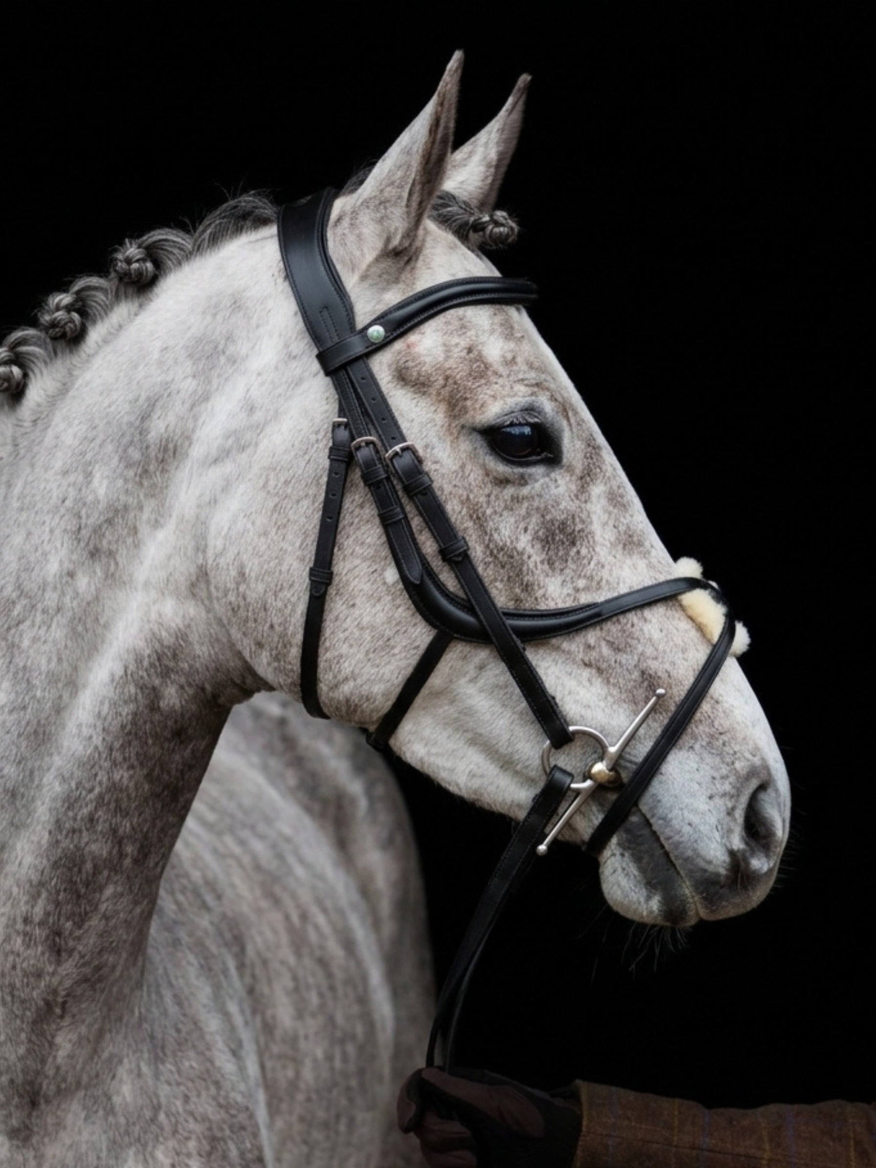 EcoRider SeamFree Grackle Bridle (ECO941) crafted from premium Ultra Comfort Leather, highlighting the seamless pressure-relieving construction and sheepskin-padded figure-eight noseband treated with natural beeswax for sensitive-skinned horses.