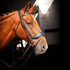 Side profile of a chestnut horse with a braided mane wearing a black EcoRider anatomical leather bridle against a dark stable background.