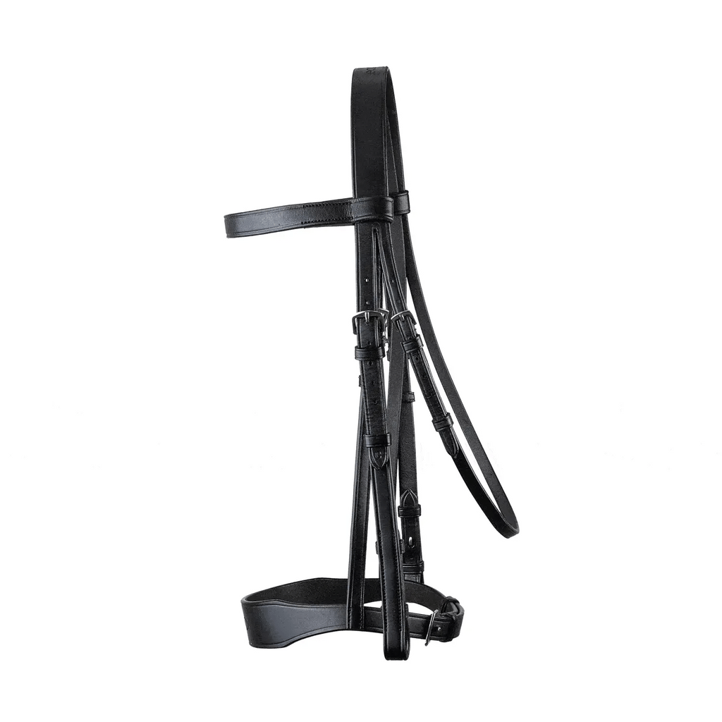 Black EcoRider Classic Show Leather bridle on a white background
