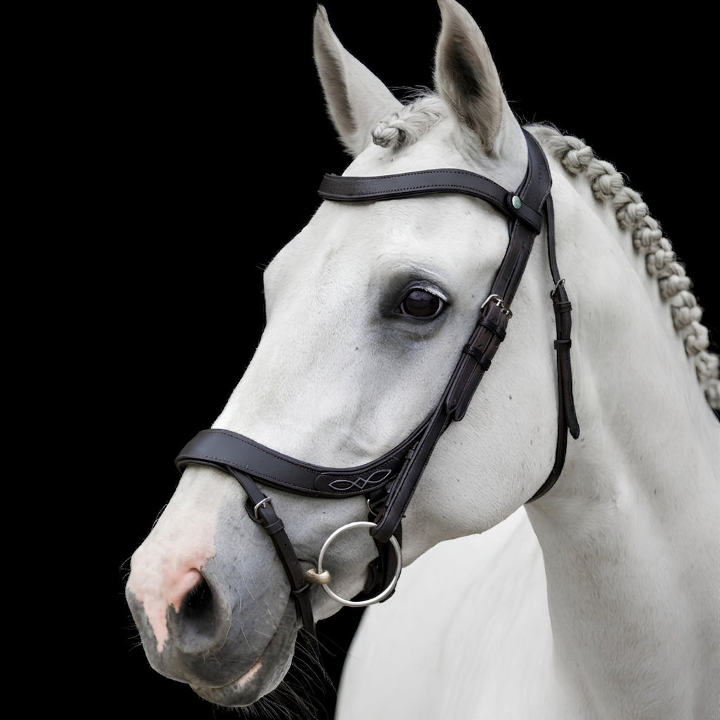 Side profile of a Grey horse with an EcoRider anatomic leather bridle featuring decorative white stitching on the noseband.