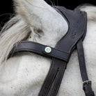 Close-up of a brown EcoRider Freedom headpiece showing the debossed brand name and e clasp browband on a grey horse, highlighting ear clearance.