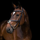 Brown horse wearing a EcoRider Freedom Grackle Leather bridle on a black background