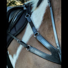 Close-up of a pinto horse wearing a black EcoRider elasticated breastplate and running martingale under saddle.