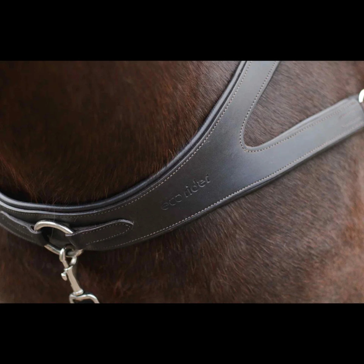 Close-up of the debossed EcoRider logo on the padded chest plate of a black leather breastplate, resting on a horse's chest.