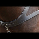 Close-up of the debossed EcoRider logo on the padded chest plate of a black leather breastplate, resting on a horse's chest.