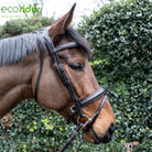Side profile of a bay horse wearing a black EcoRider anatomical leather bridle with a padded comfort flash noseband.