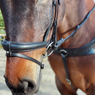 Close-up of a bay horse wearing a black EcoRider anatomical leather bridle and matching breastplate, showcasing premium comfort fit.