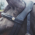 Close-up of an EcoRider Freedom anatomical leather headpiece and padded browband on a dark horse, highlighting ear pressure relief.