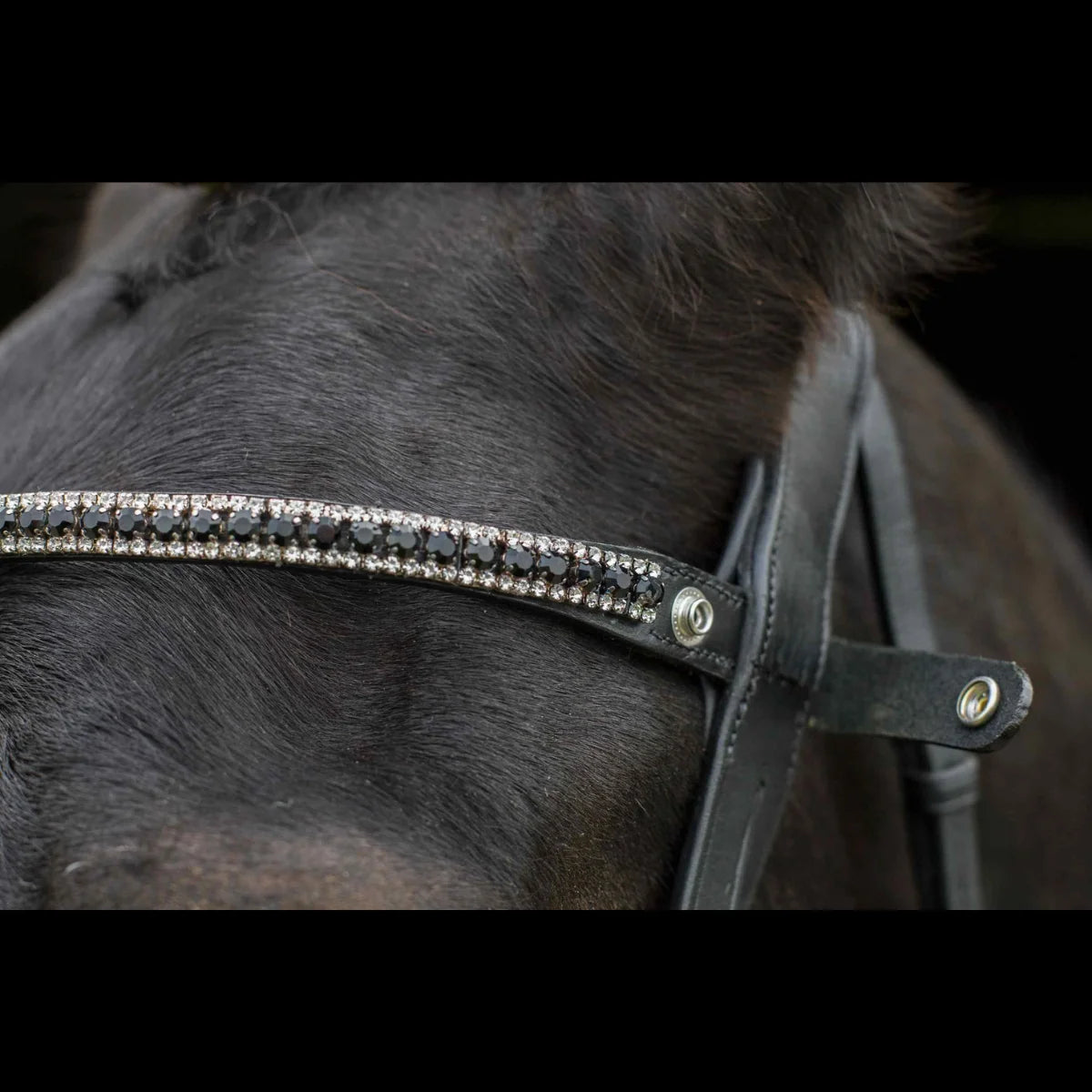 Close-up of the black EcoRider Nouveau Crystal Browband on a dark horse, featuring the open e-clasp quick-release snap popper.