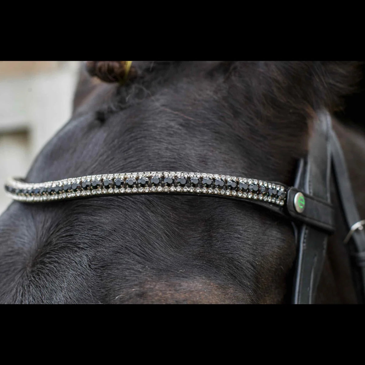 Close-up of the black EcoRider Nouveau Crystal Browband on a dark horse, featuring the closed e-clasp quick-release snap popper.