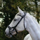 Side profile of a grey horse wearing a black EcoRider anatomical leather bridle with a padded comfort flash noseband.