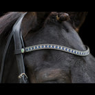Close-up of the black EcoRider Freedom Sapphire Browband on a dark horse, featuring the closed e-clasp quick-release snap popper.