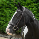 Side-profile of a piebald paint horse wearing an EcoRider anatomical leather bridle with a padded flash noseband.