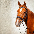 Chestnut horse wearing an EcoRider black leather anatomical bridle with a silver crystal snaffle bit browband.