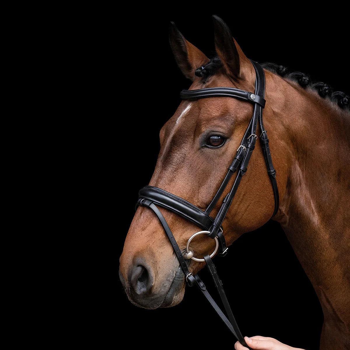 Brown EcoRider SeamFree Comfort Leather Bridle Horse wearing a bridle on a black background