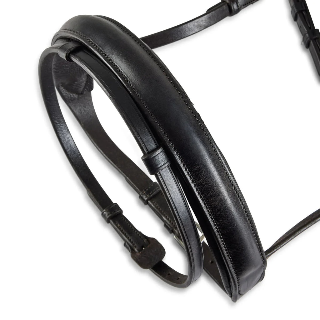 Black EcoRider Perfect Fit Show Comfort Cavesson Noseband separate, featuring thick protective padding and adjustable straps.