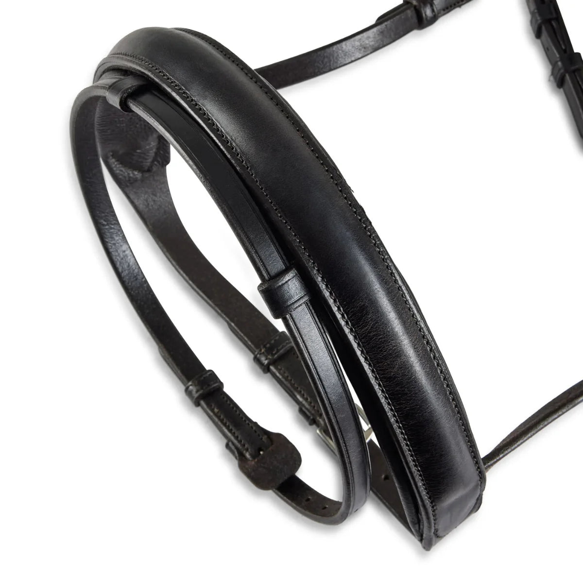 Black EcoRider Perfect Fit Show Comfort Cavesson Noseband separate, featuring thick protective padding and adjustable straps.
