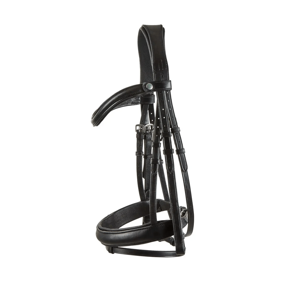 Black EcoRider Freedom Comfort plain padded cavesson leather bridle with an anatomic headpiece and curved padded browband.