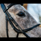 Close-up of a dapple grey horse wearing a black EcoRider grackle leather bridle, showing the cheek straps and e clasp browband.