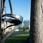 Detailed view of an EcoRider anatomical leather bridle hanging by a tree, showcasing the padded noseband and snaffle bit.