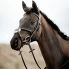 Side profile of a black horse wearing a black EcoRider grackle leather bridle with a sheepskin-padded noseband.