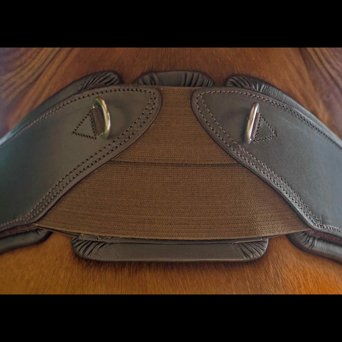 Close-up of the sternum elasticated stretch panel and D-rings on the EcoRider Ultra Comfort Anatomic Girth, fitted on a horse.