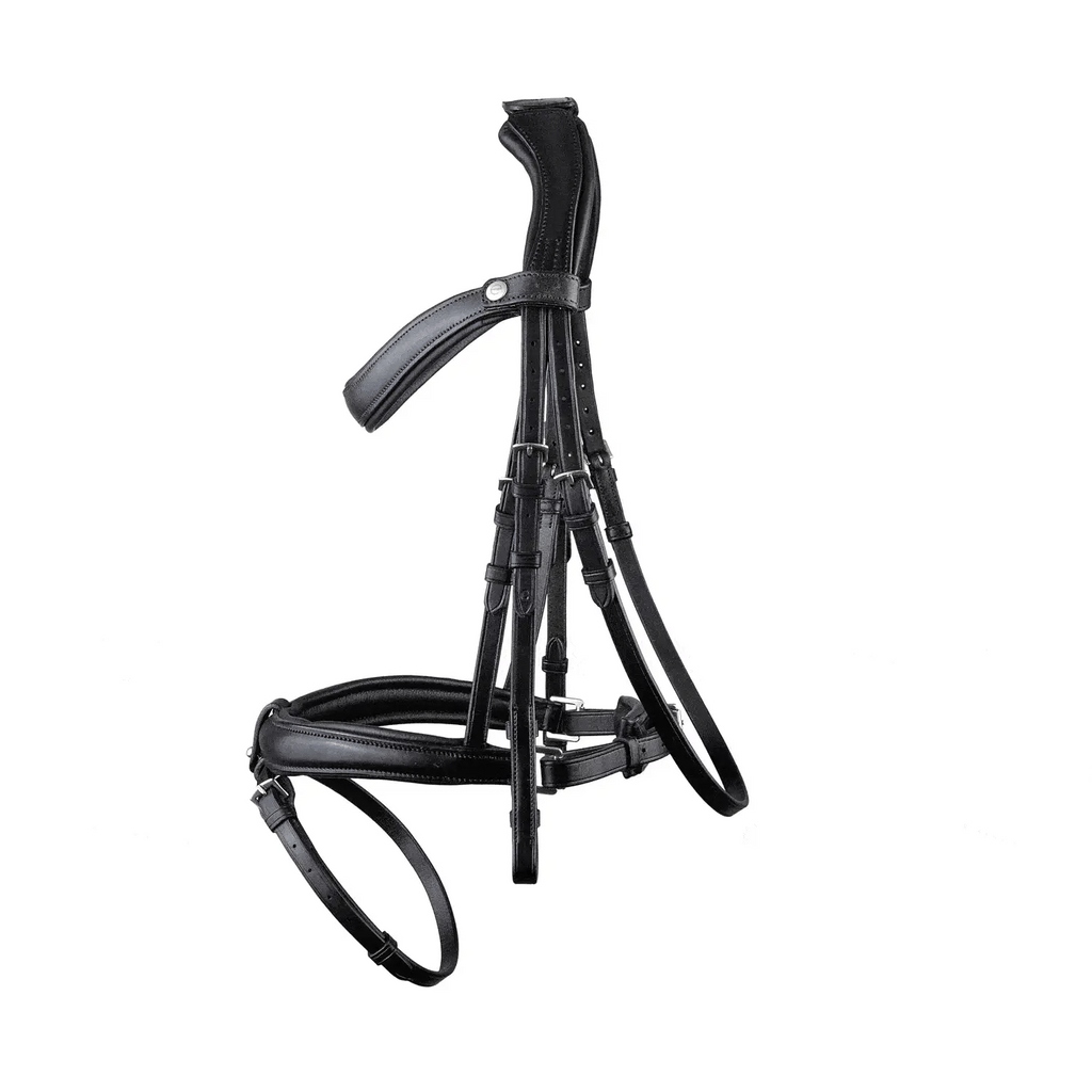 Black EcoRider anatomic leather bridle featuring an ergonomic padded headpiece, curved browband, and padded noseband with flash attachment.