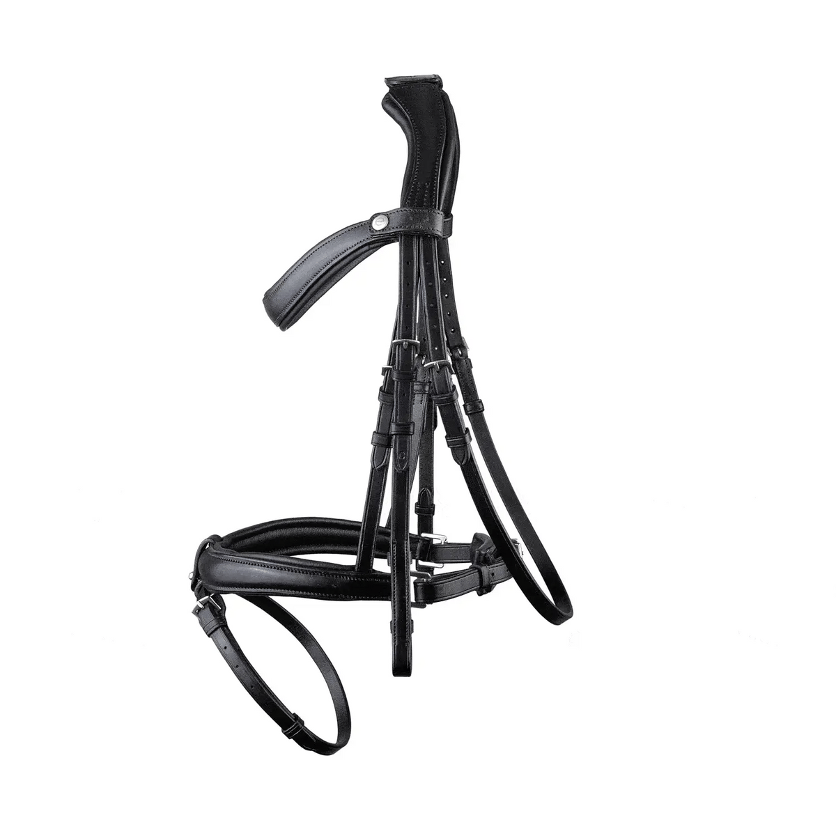 Black EcoRider anatomic leather bridle featuring an ergonomic padded headpiece, curved browband, and padded noseband with flash attachment.