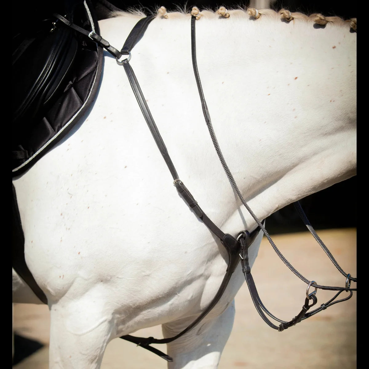 Close-up of a grey horse tacked up under saddle wearing a black EcoRider anatomical leather breastplate and running martingale.