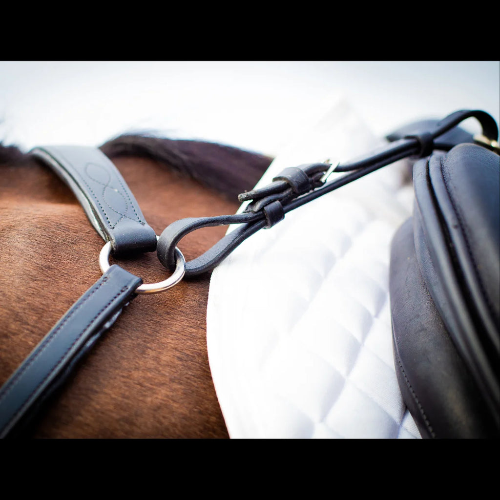 Close-up of the black EcoRider leather breastplate attached to the saddle pommel, displaying fancy stitching and stainless steel rings.