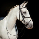 Portrait of a braided grey horse wearing a black EcoRider anatomical grackle bridle with sheepskin padding, on a black background.