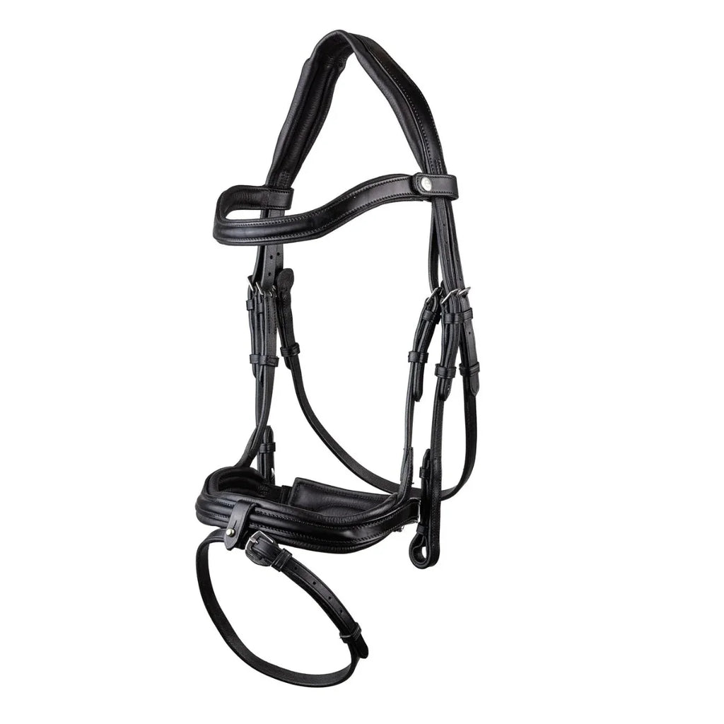 Black EcoRider SeamFree Anatomic Leather Bridle featuring a padded headpiece, curved browband, and padded noseband with a removable flash.
