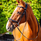Side profile of a chestnut horse wearing a black EcoRider anatomical leather bridle with a padded comfort flash noseband.