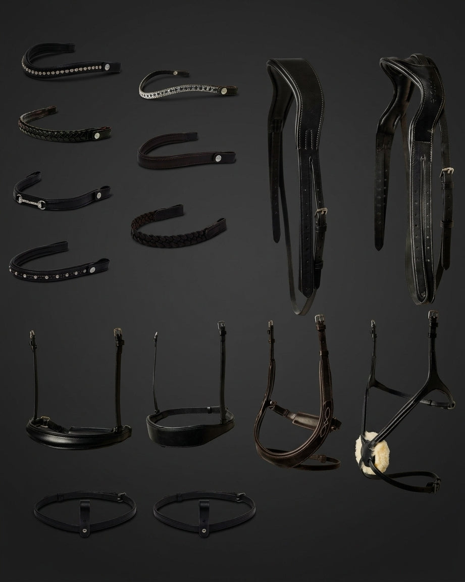 Perfect Fit Bridle Builder