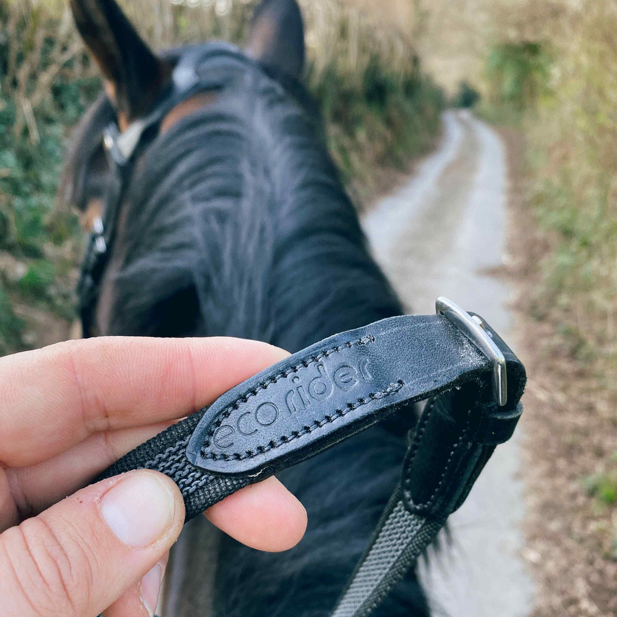 The Reins Collection