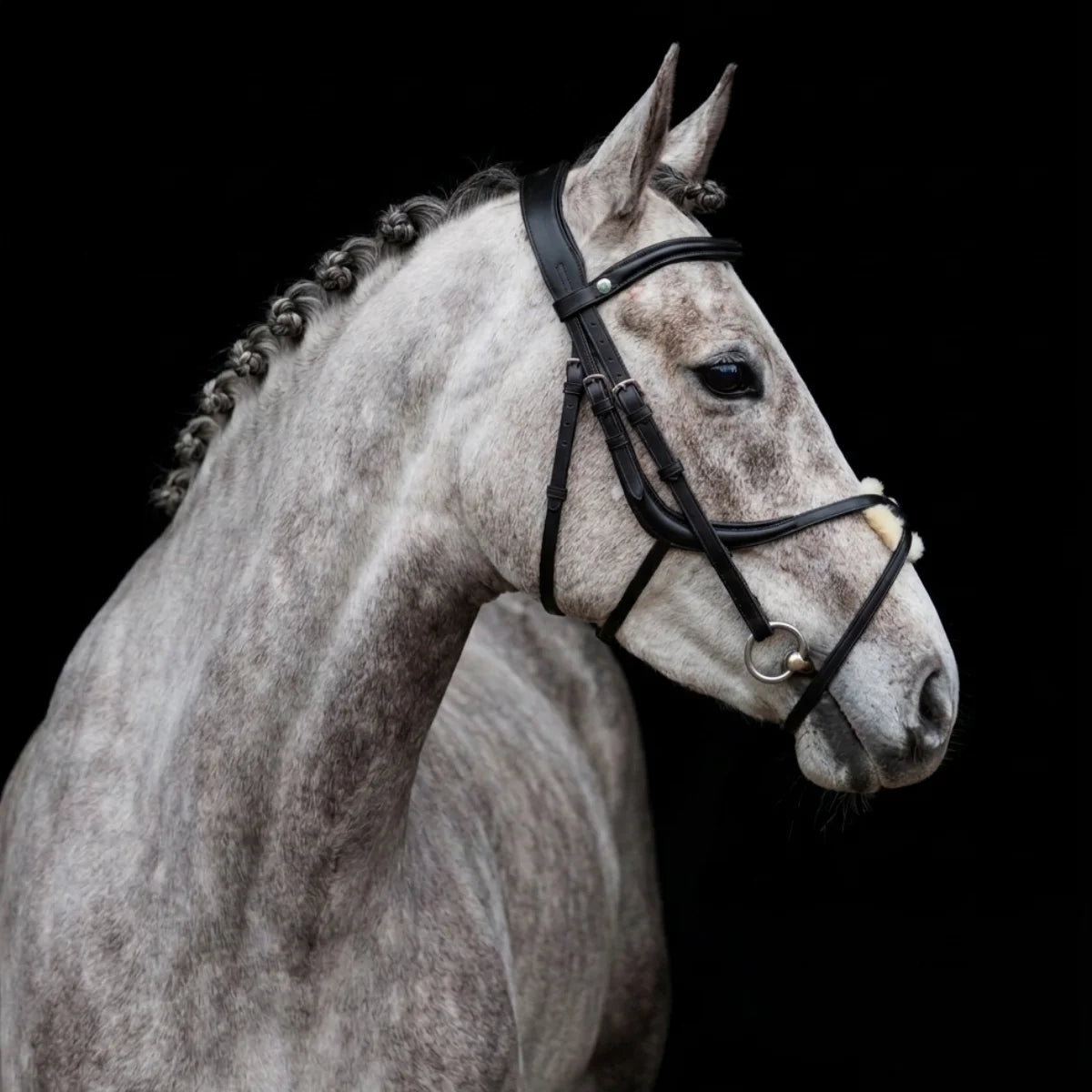 EcoRider Core Philosophy banner image from the Our Story page, illustrating their dedication to horse welfare, anatomical pressure relief, and the ethical production of sustainable, vegetable-tanned equestrian leatherwork.
