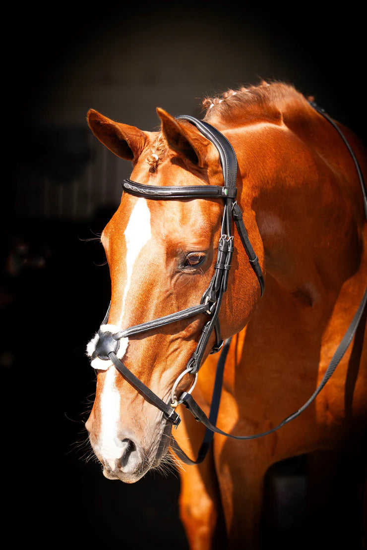 EcoRider Ultra Comfort anatomical bridle collection banner featuring a chestnut horse with a white blaze wearing a premium black leather grackle bridle with a natural sheepskin-padded nasal disc, highlighting hypoallergenic pressure-relieving tack.